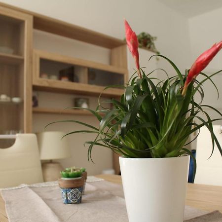 Ohana: Casa Nel Centro Di Лече Екстериор снимка