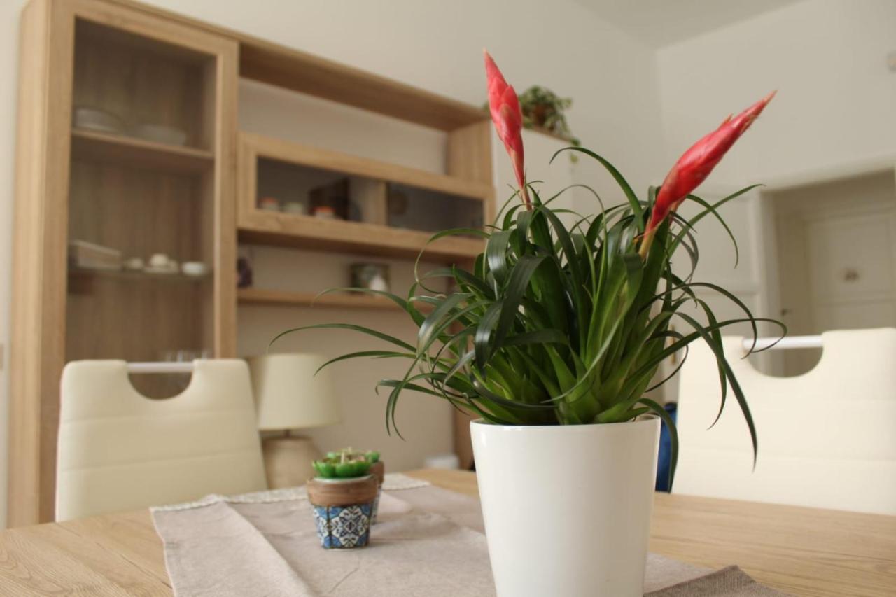 Ohana: Casa Nel Centro Di Лече Екстериор снимка